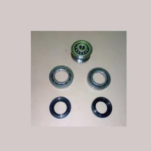 Reparación del sinfín Lada